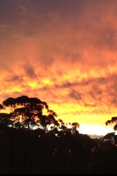 Avoca Beach And Bush Buitenkant foto