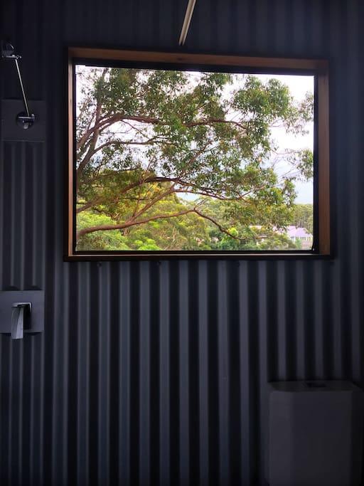 Avoca Beach And Bush Buitenkant foto