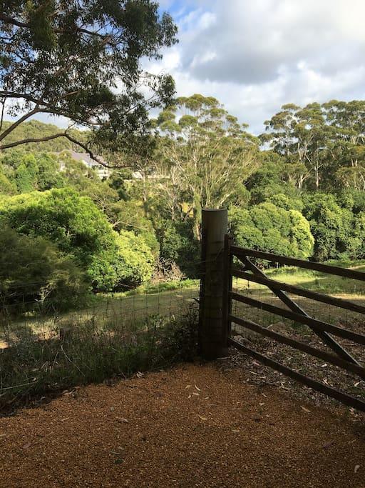 Avoca Beach And Bush Buitenkant foto
